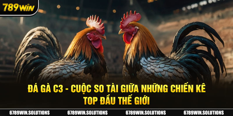 Đá Gà C3 - Cuộc So Tài Giữa Những Chiến Kê Top Đầu Thế Giới