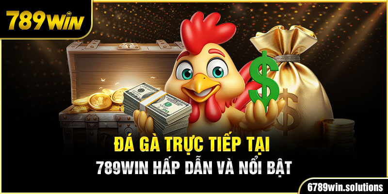 Đá Gà Trực Tiếp Tại 789WIN Hấp Dẫn Và Nổi Bật