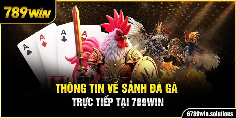 Thông tin về sảnh đá gà trực tiếp tại 789WIN 