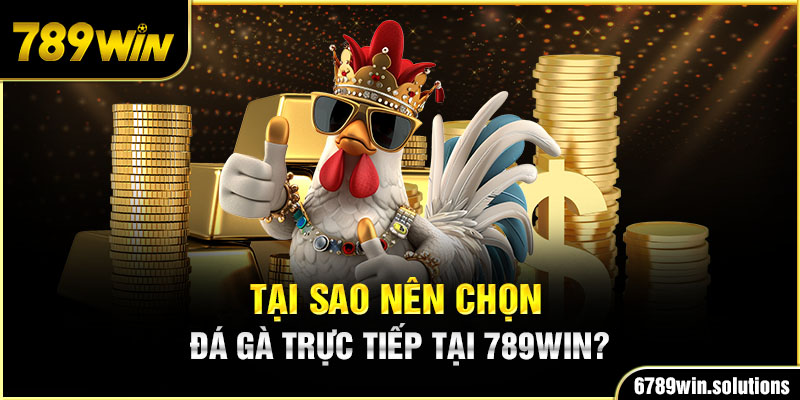 Tại sao nên chọn đá gà trực tiếp tại 789WIN?